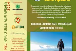 Domenica 13 ottobre esperienza di Forest Bathing a Campocecina