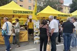 San Francesco: Coldiretti Massa Carrara, dal laboratorio della lavanda al grande mercato contadino