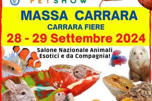 Parte il 28 settembre a Carrara Fiere &quot;Esotika Pet Show&quot;: il salone degli animali esotici e di compagnia