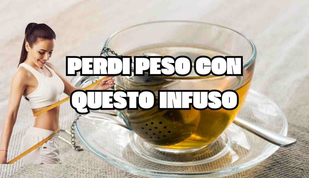 infuso linea